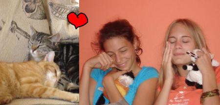 oODOdO dEs 2 pTiTs ChAtsOo